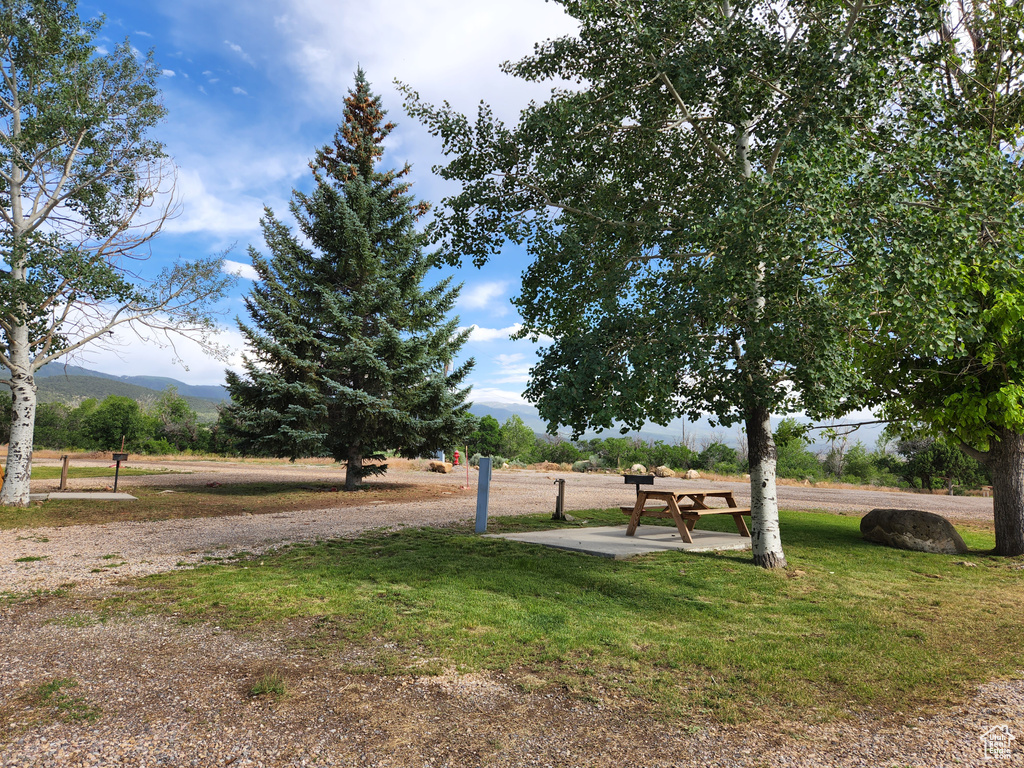 View of community with a mountain view, a lawn, and a rural view