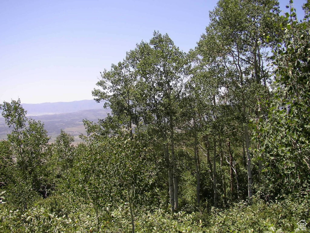 Property view of mountains