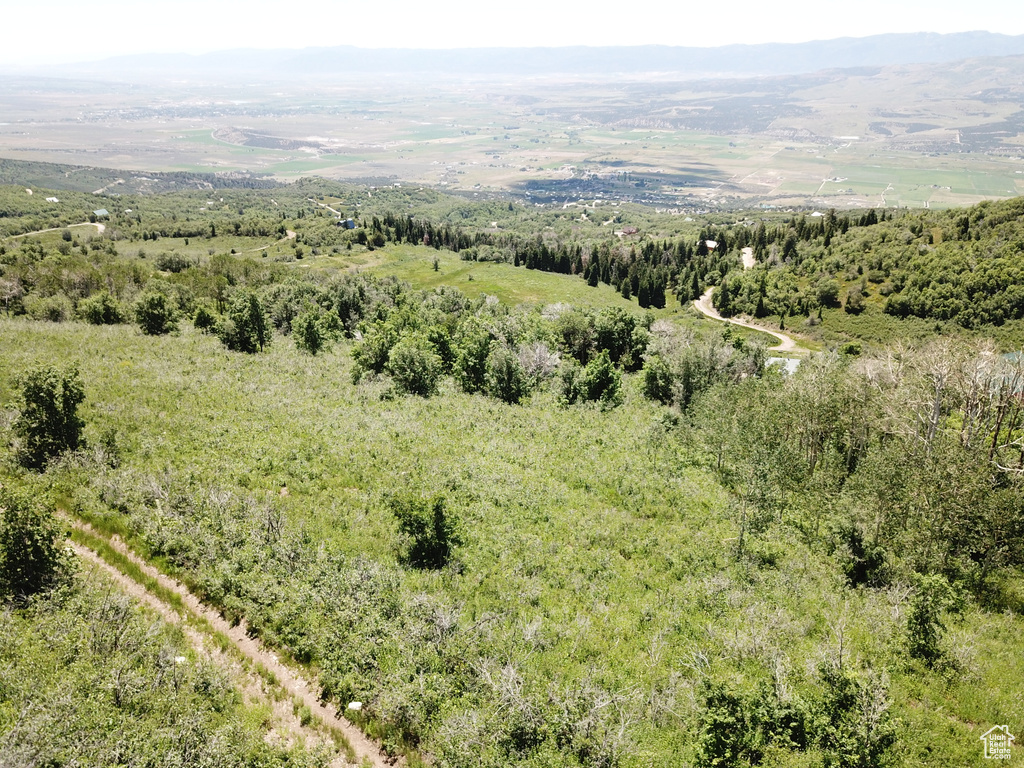 Aerial view with a mountain view
