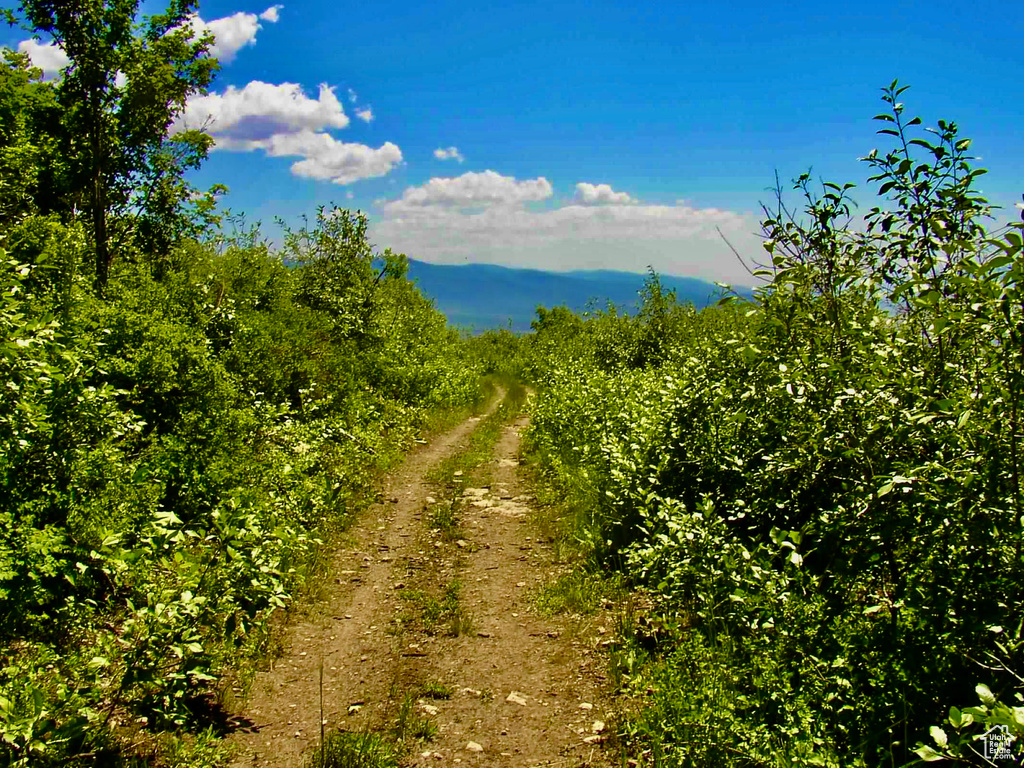  Fairview, UT 84629
