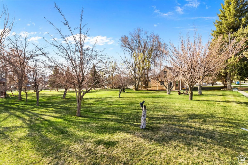 View of community featuring a yard