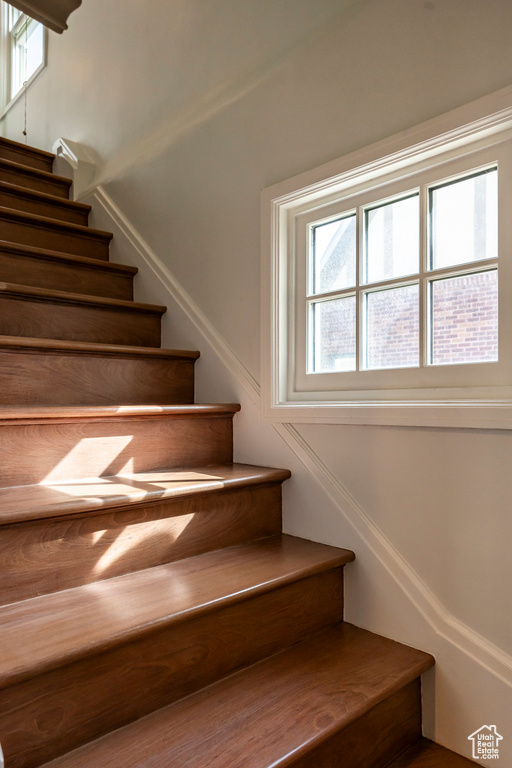View of stairs