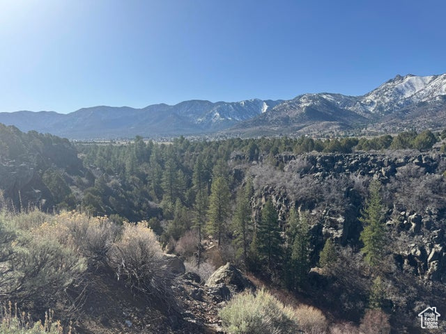 View of mountain feature with a forest view