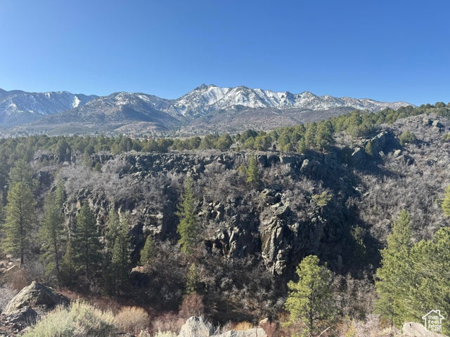Mountain view with a wooded view