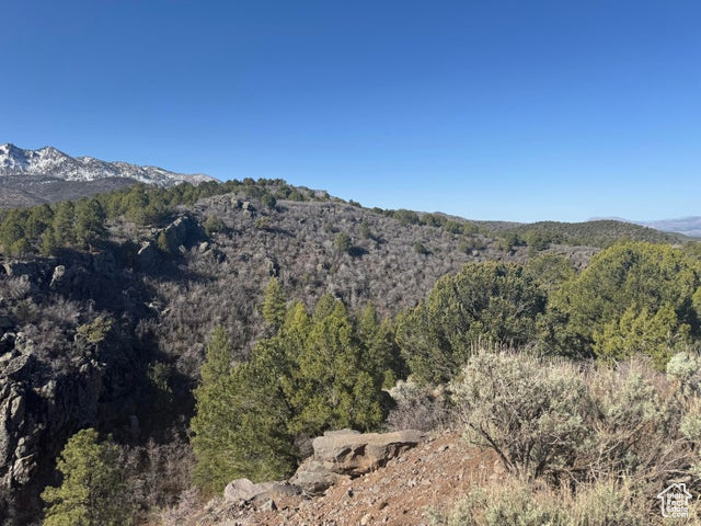 Property view of mountains featuring a forest view