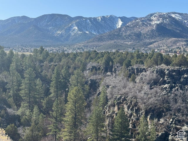 Mountain view with a forest view