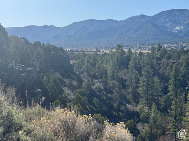Property view of mountains featuring a forest view