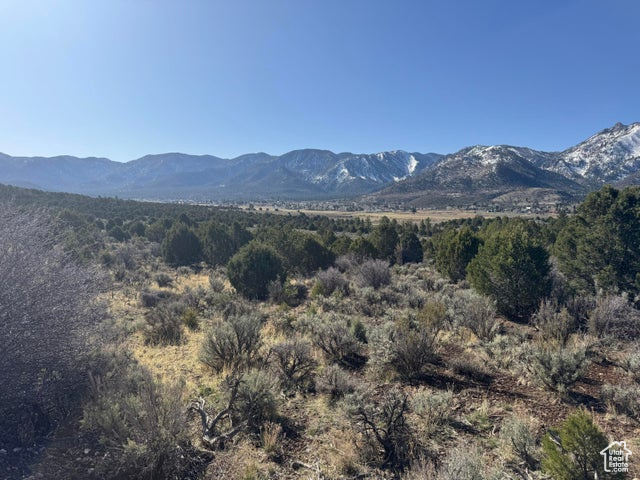 View of mountain feature featuring a wooded view