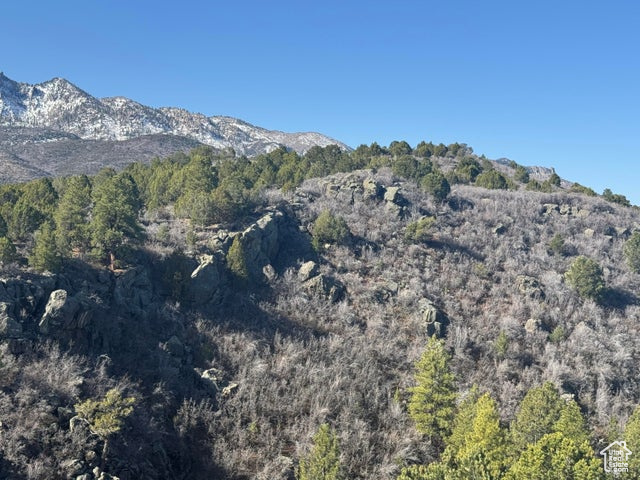 Property view of mountains with a view of trees