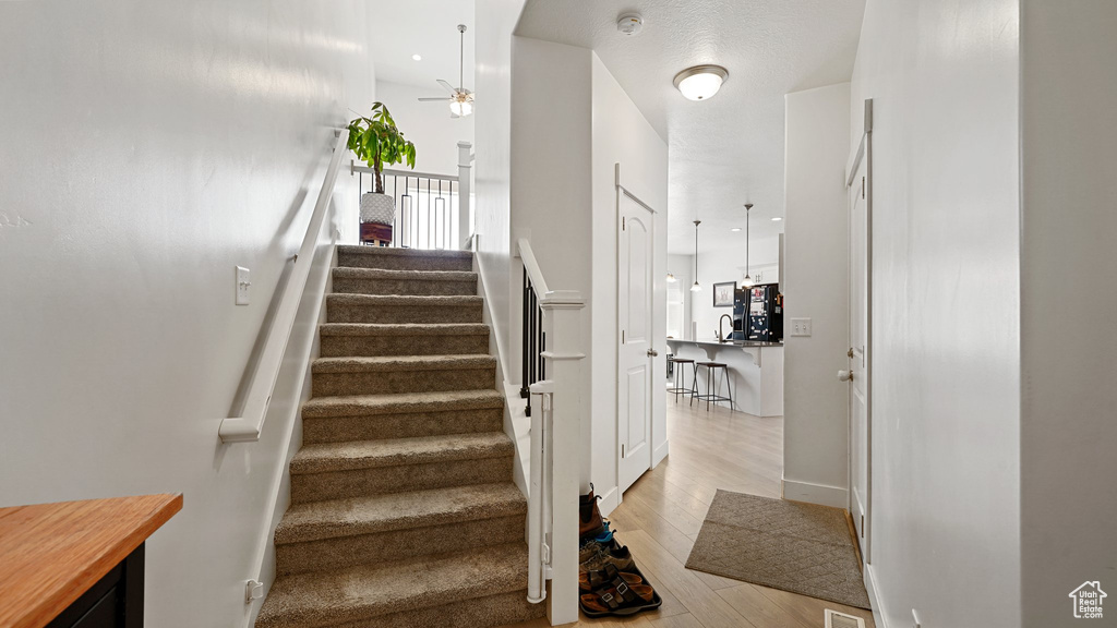 Staircase featuring ceiling fan and wood finished floors