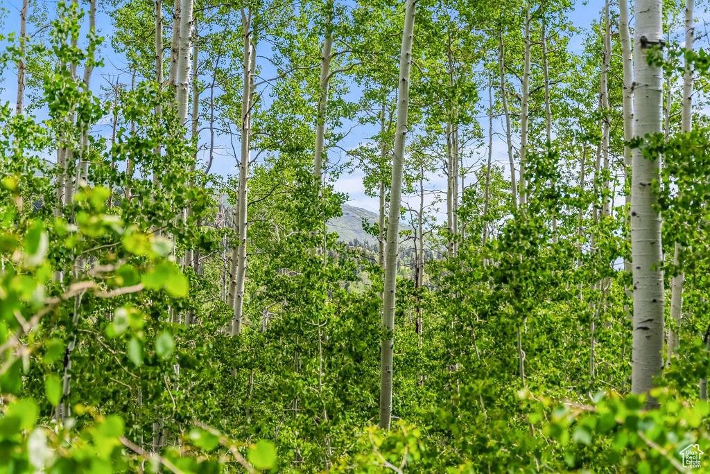 View of nature