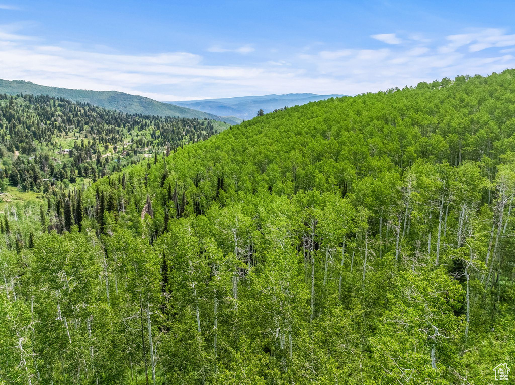 Mountain view featuring a view of trees