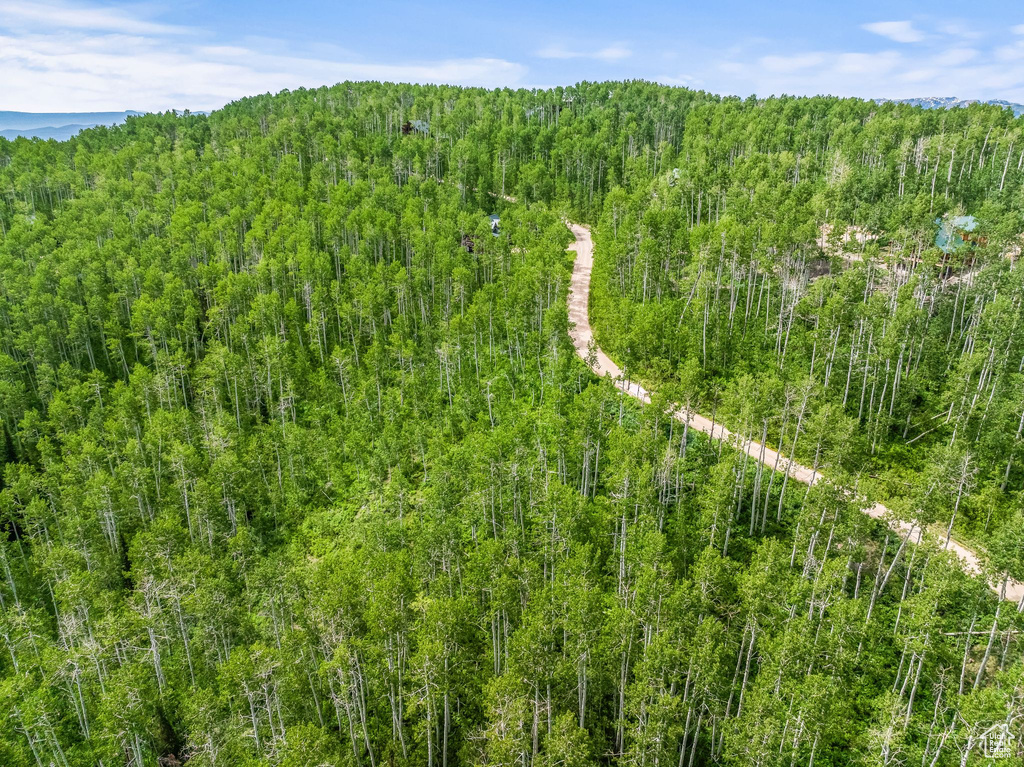 Aerial view featuring a forest view