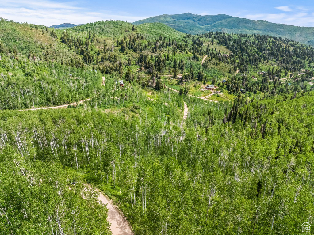 Drone / aerial view featuring a forest view and a mountain view