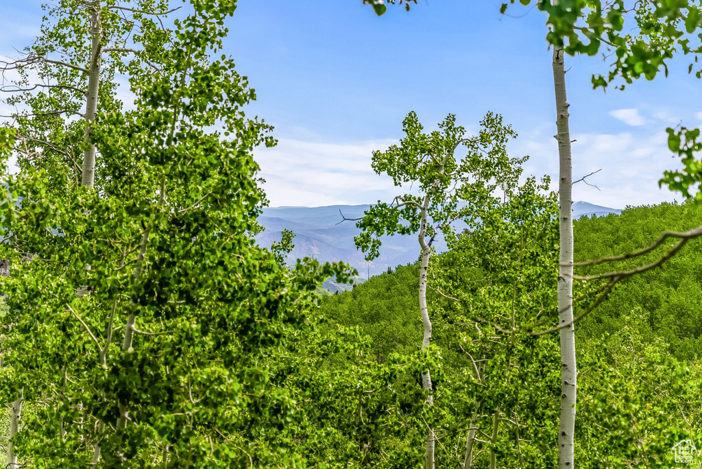 Property view of water with a mountain view
