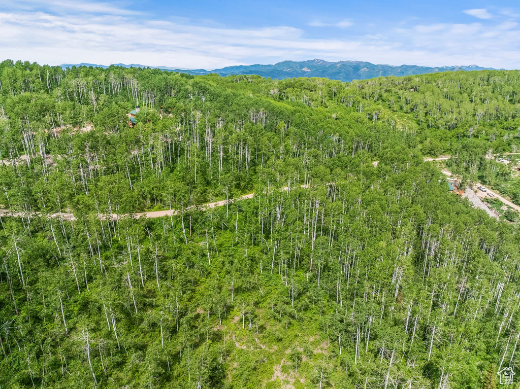 Drone / aerial view featuring a forest view and a mountain view