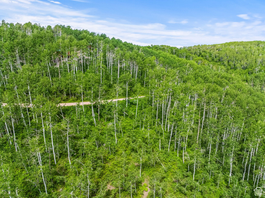View of nature featuring a view of trees