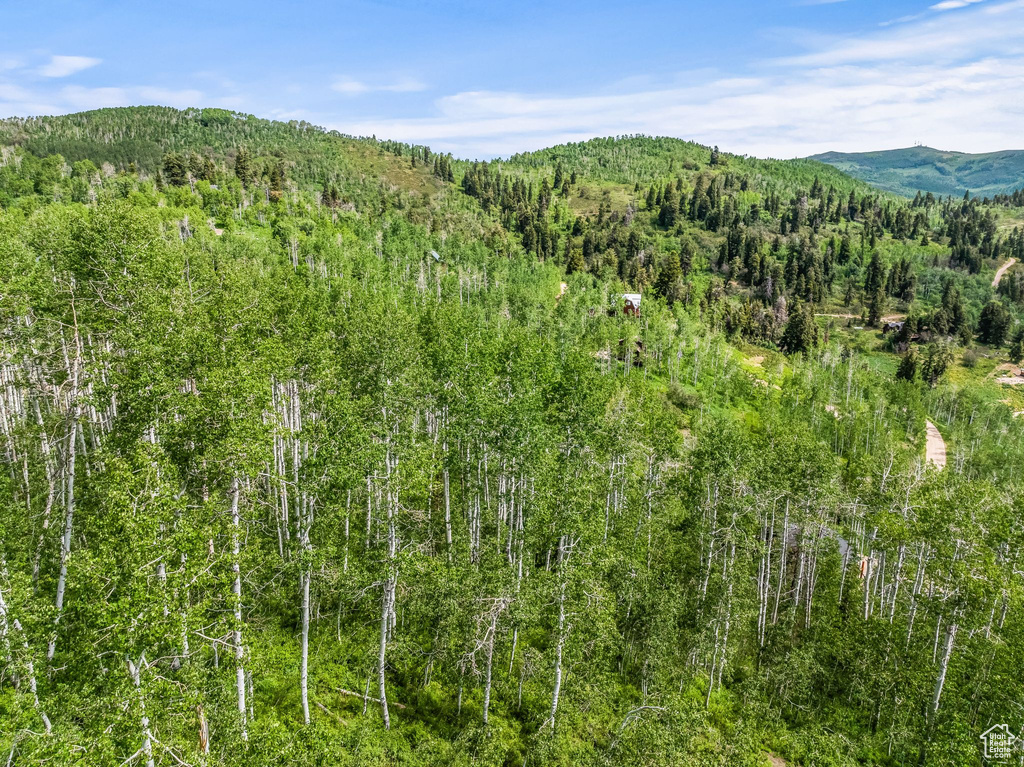 Mountain view featuring a wooded view