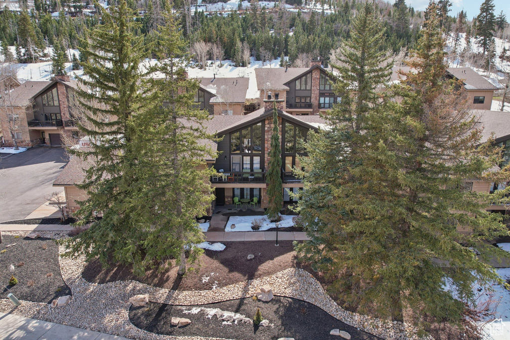Bird's eye view