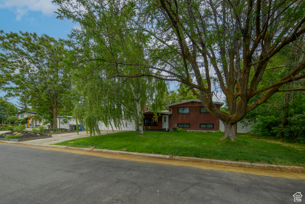 Split level home with a front yard