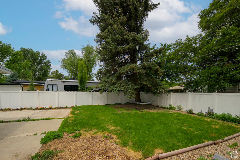 View of yard