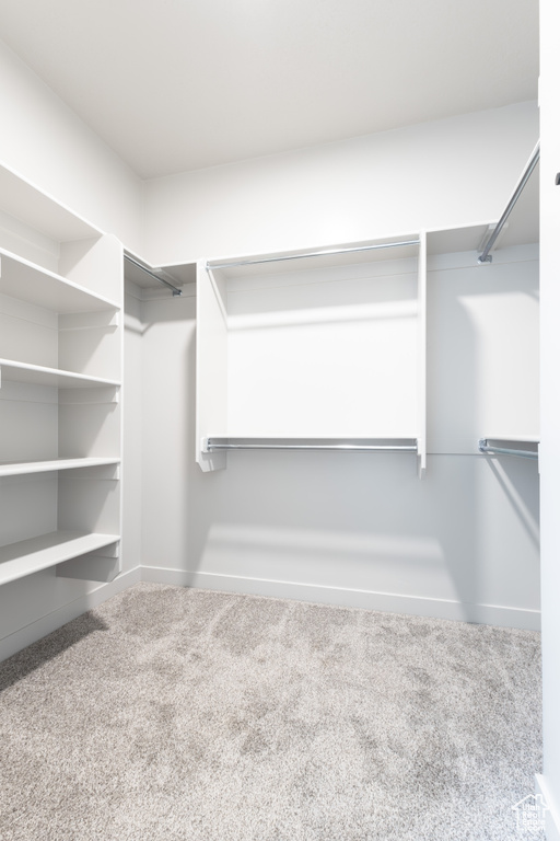 Walk in closet with carpet