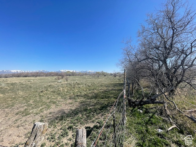 View of yard with a rural view