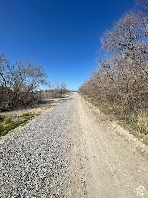 View of dirt / gravel road