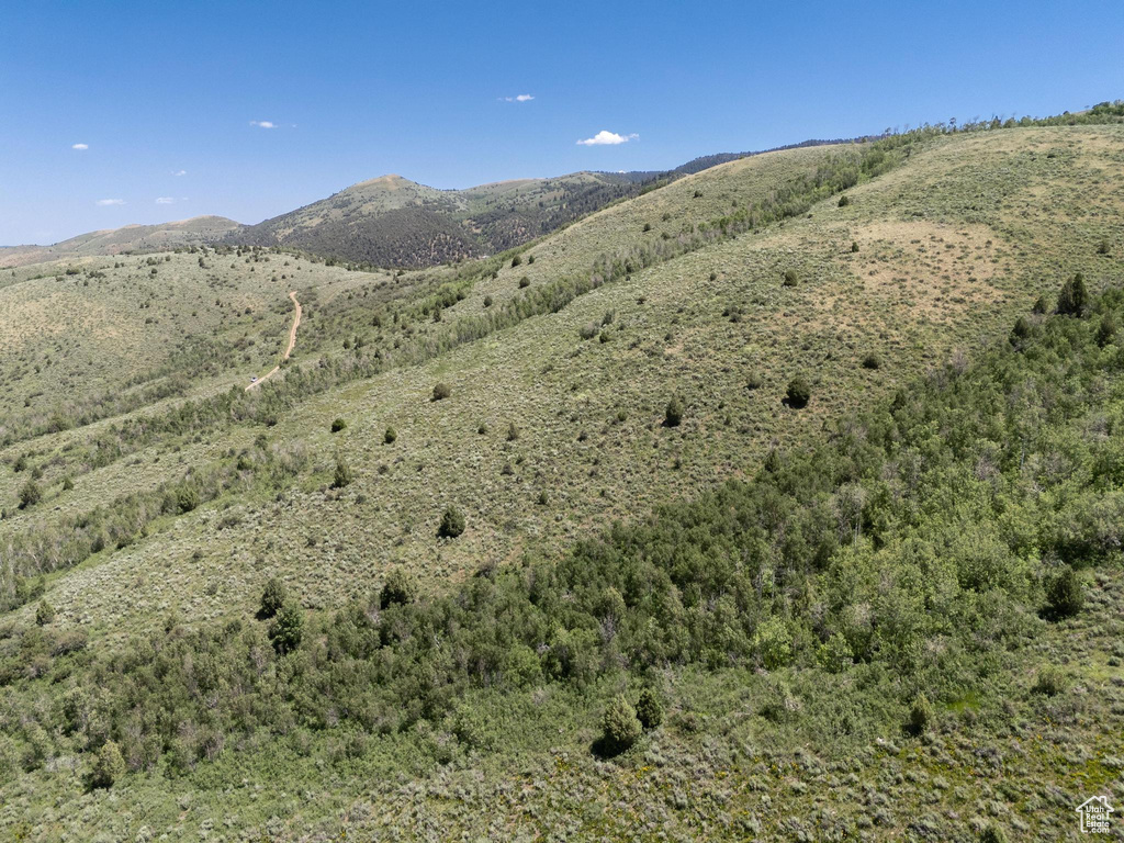 View of mountain background
