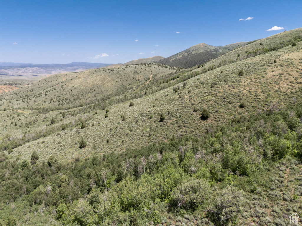 Mountain view