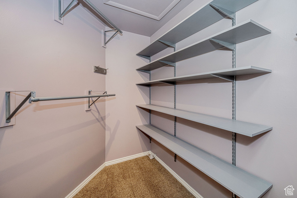 Spacious closet featuring carpet