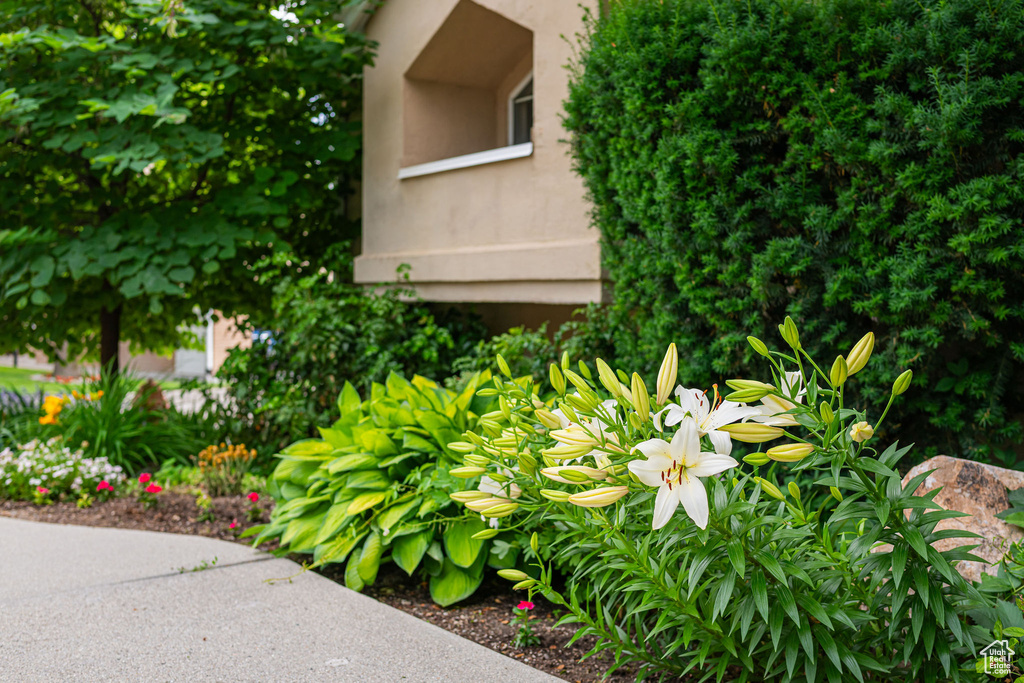 Exterior view of stucco siding