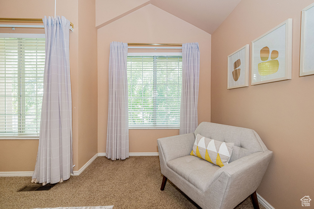Living area with carpet flooring and vaulted ceiling