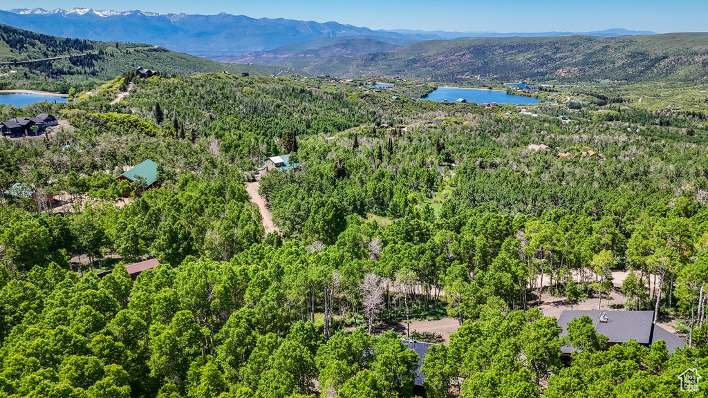 Bird's eye view of a heavily wooded area and a water and mountain view