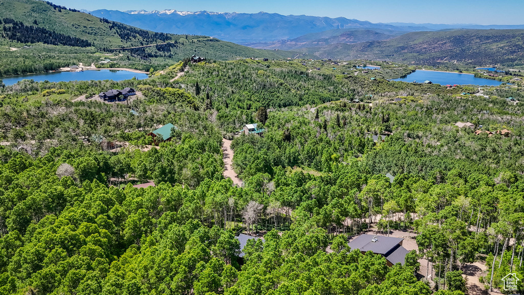 Bird's eye view of a heavily wooded area and a water and mountain view