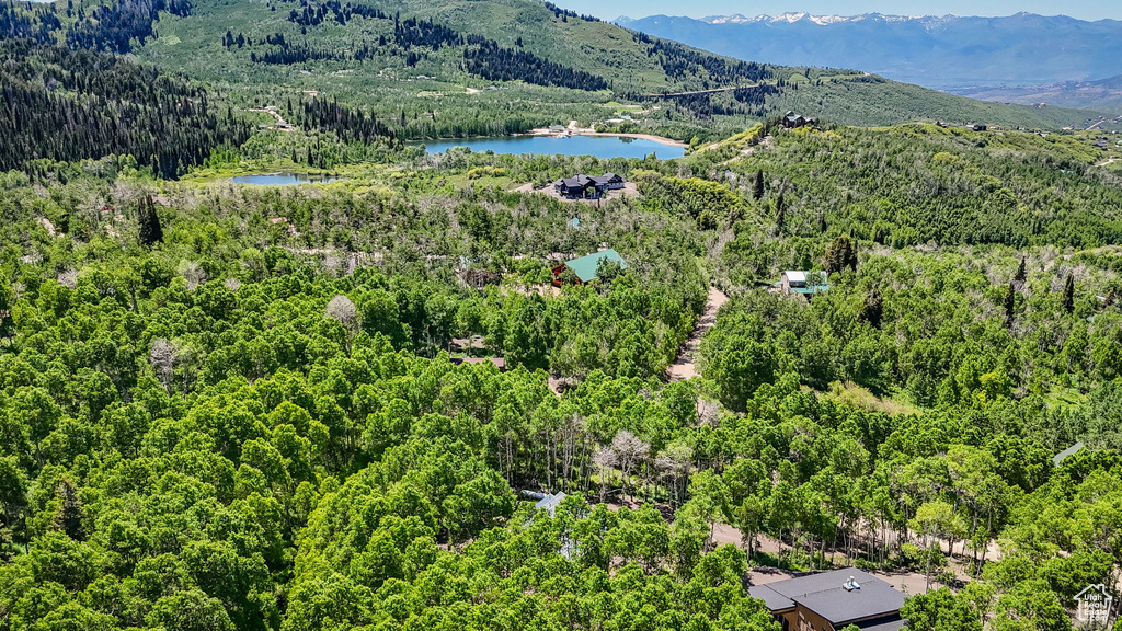 Bird's eye view of a heavily wooded area and a water and mountain view