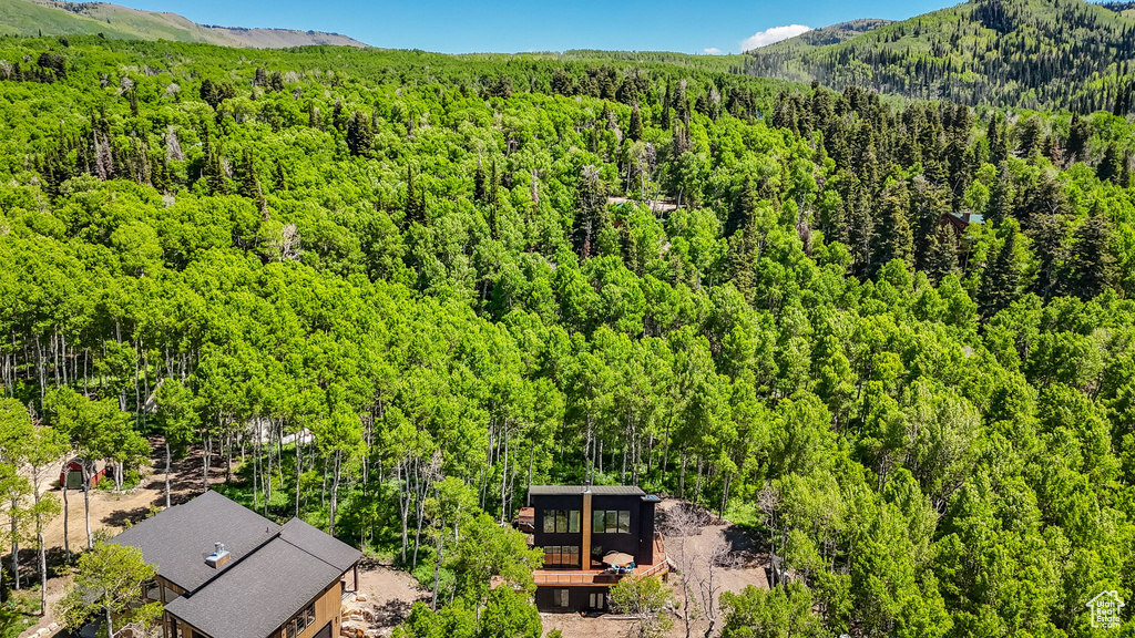 Bird's eye view of a heavily wooded area and a mountainous background