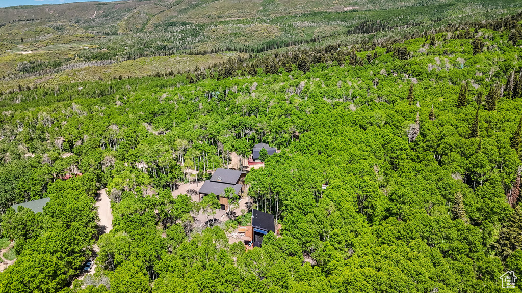 Drone / aerial view of a forest