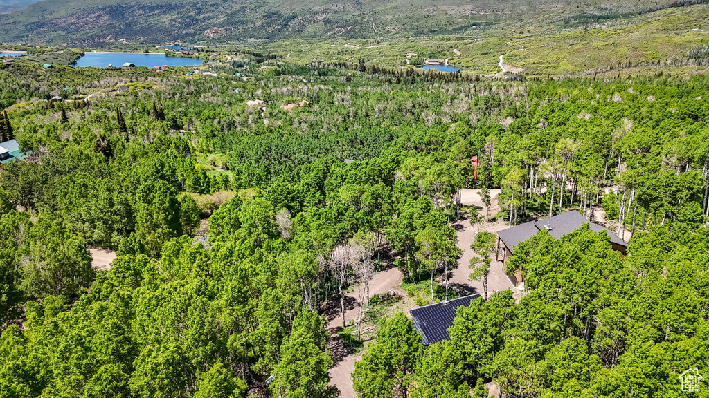 Bird's eye view of a water and mountain view and a heavily wooded area