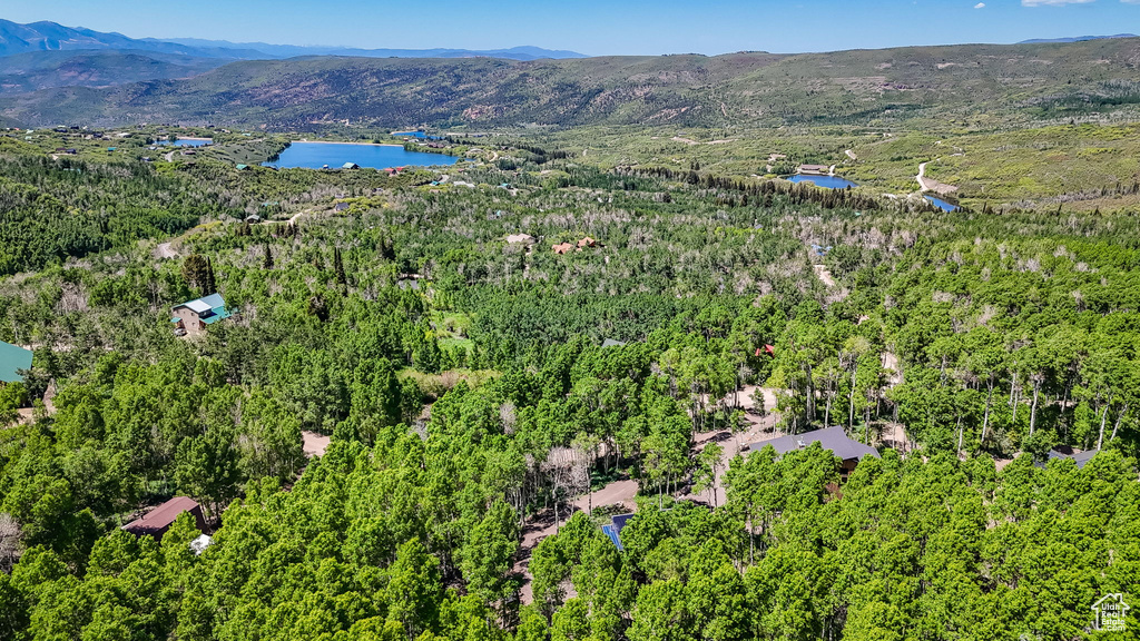 Aerial view of a heavily wooded area and a water and mountain view