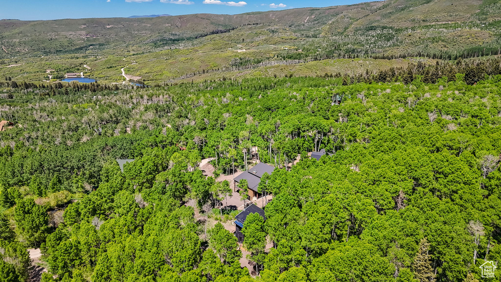 Aerial view of a heavily wooded area and mountains