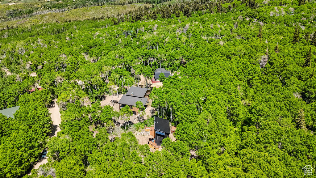 Drone / aerial view of a forest