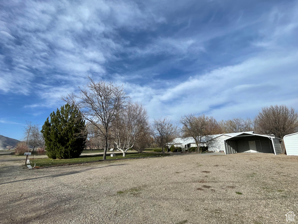 View of yard with a carport and driveway