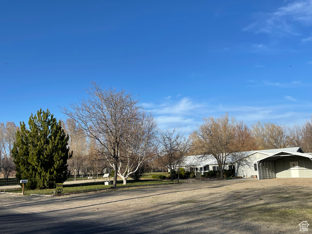 View of road