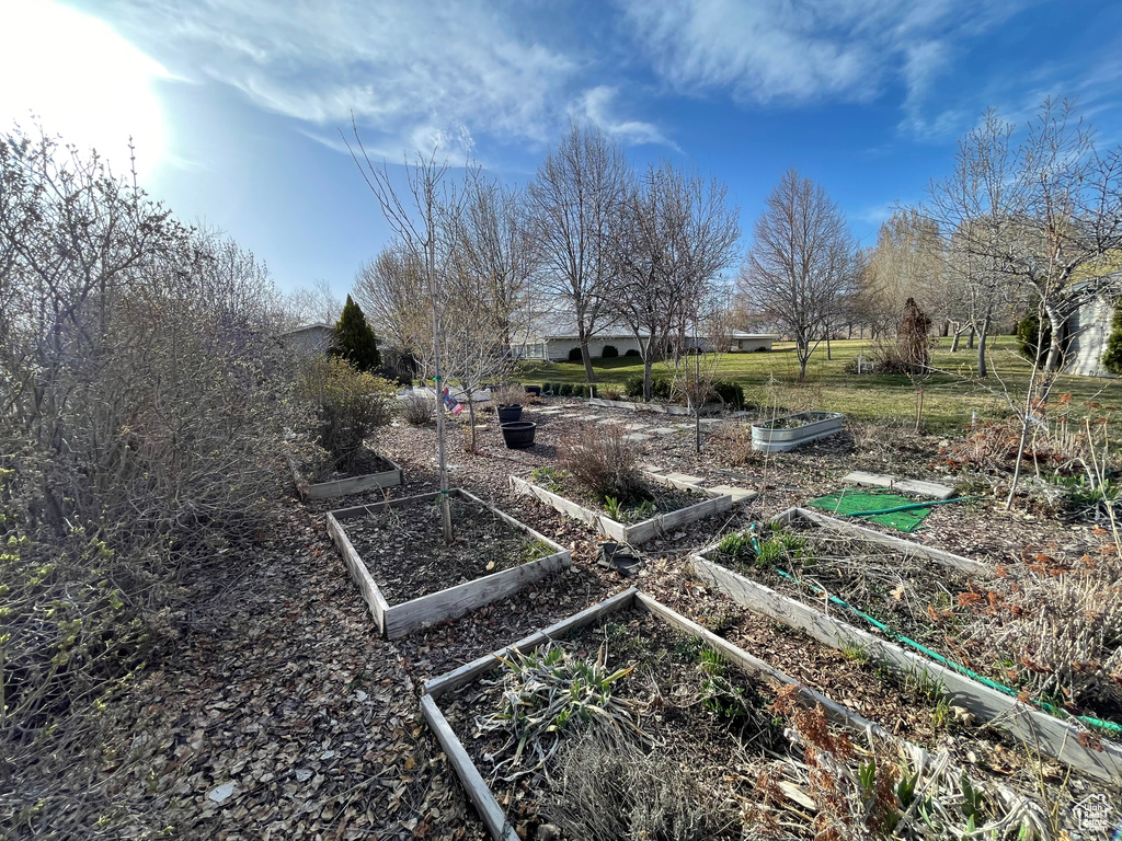 View of yard featuring a vegetable garden