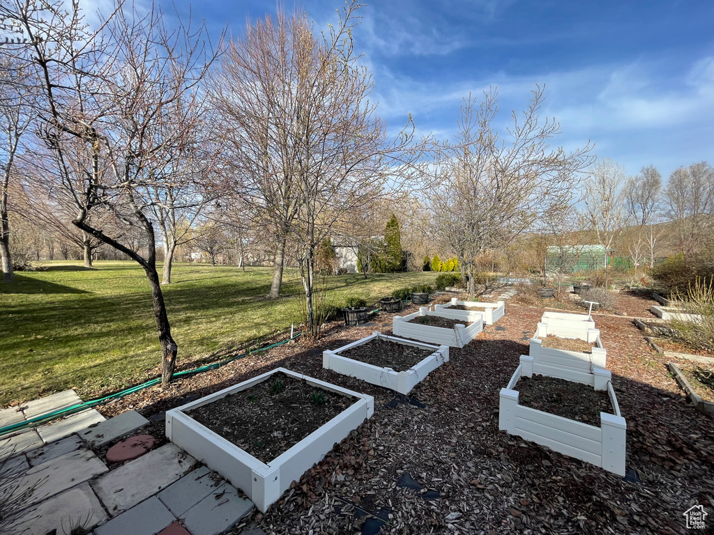 View of yard with a vegetable garden