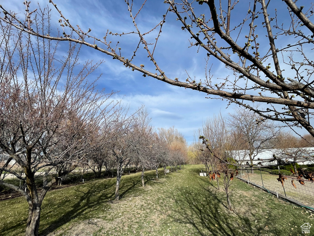 View of community