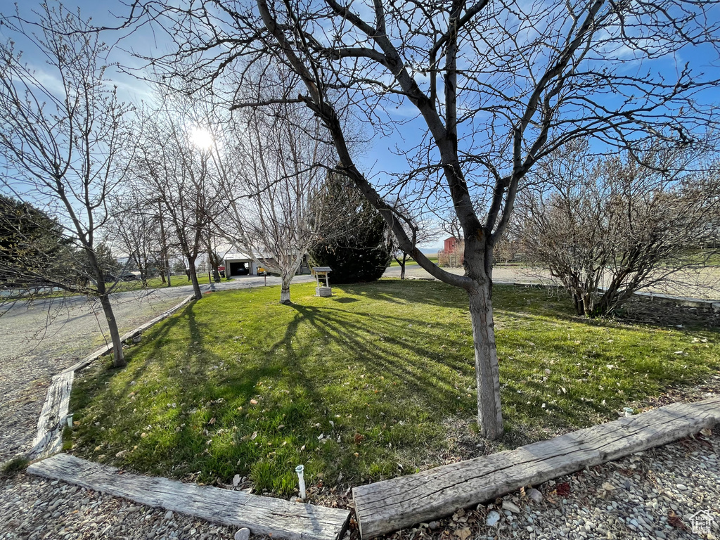 View of yard featuring an outdoor structure