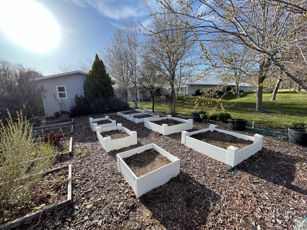 View of yard featuring a garden