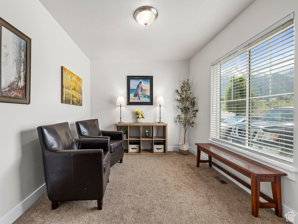 Living area with carpet floors and baseboards